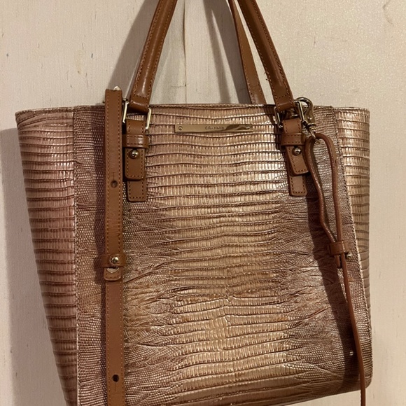 Brahmin - Picture 4 of 9